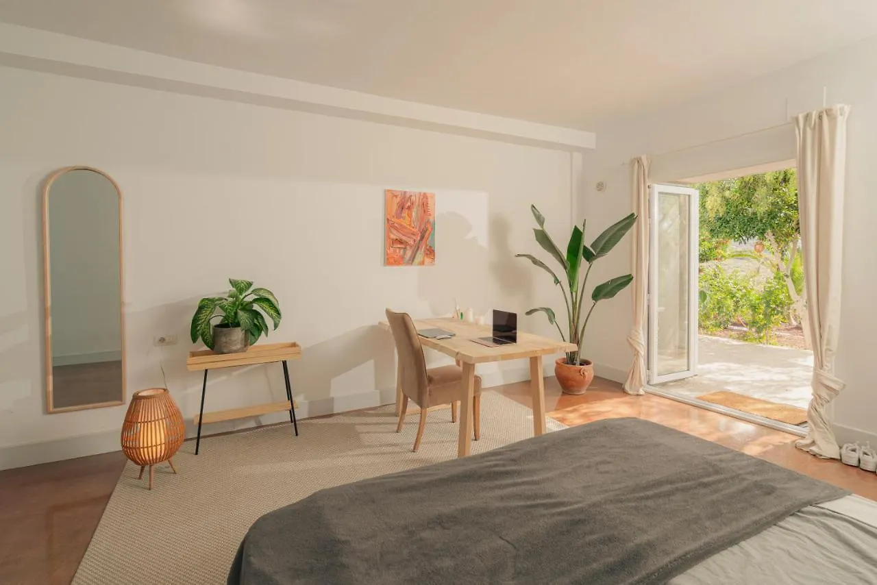 Canaan In Tenerife - Heated Pool, Ocean Views, Palm Garden, Villa Costa Adeje  Apartment Costa Adeje (Tenerife)